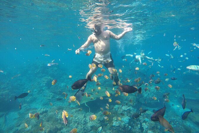 Daily West Nusa Penida Island and Snorkeling Tour with Lunch from Bali - Transportation and Practicalities