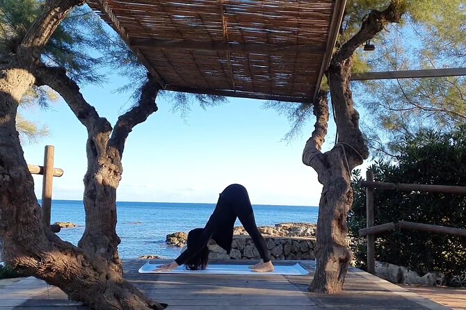 Daily Yoga Classes in Mallorca - Cancellation Policy for the Yoga Classes