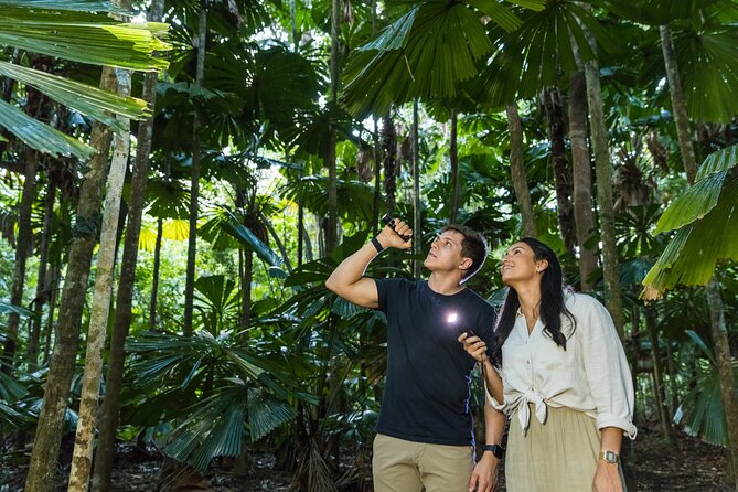 Daintree Afternoon Nocturnal Nature and Wildlife Tour - Traveler Photos