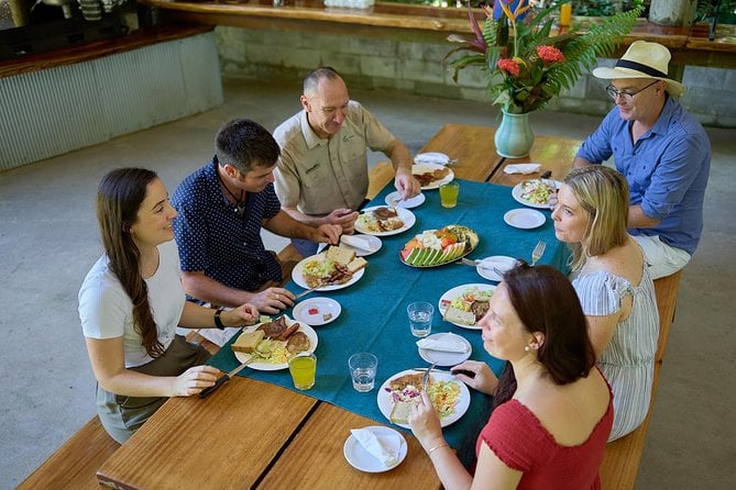 Daintree and Cape Tribulation Tour From Cairns - Tour Highlights