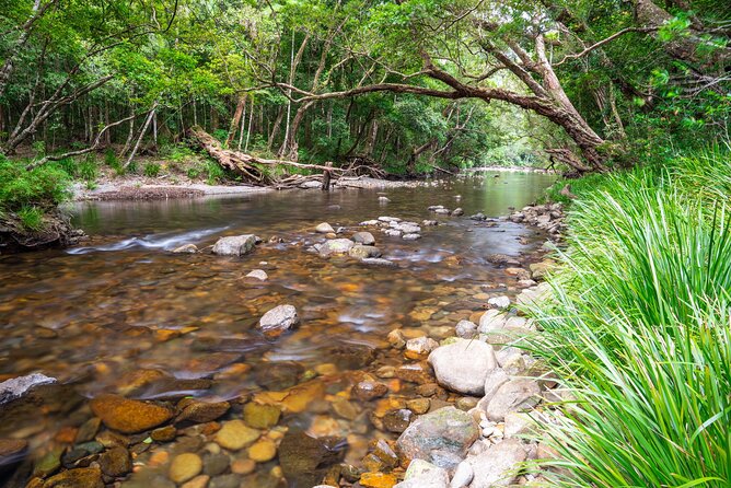 Daintree Cape Tribulation Waterfall Hike Tour With Lunch & Swim - Itinerary Overview
