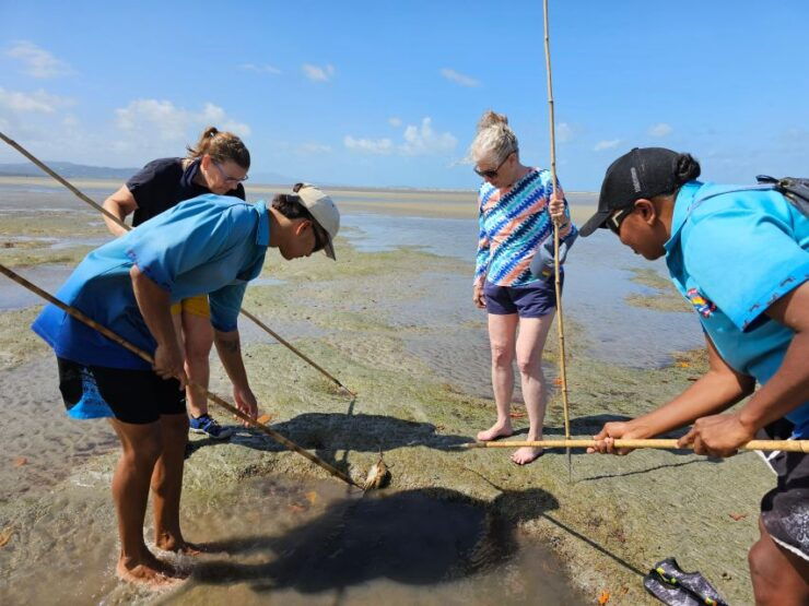 Daintree, Crocodile Cruise & Aboriginal Beach & Fish Tour - Tour Overview