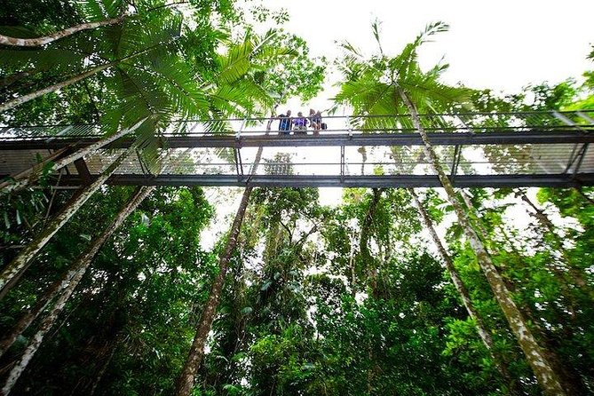 Daintree Discovery Centre Family Pass Ticket - Traveler Photos and Reviews