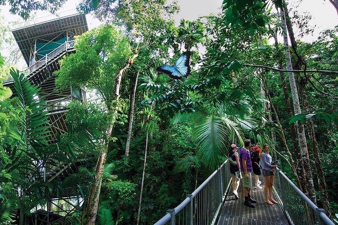 Daintree Discovery Centre Family Pass Ticket - Terms & Conditions