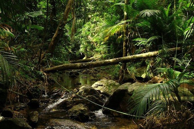 Daintree Discovery Centre Family Pass Ticket - Common Questions
