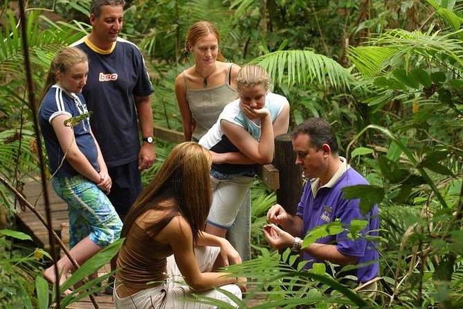 Daintree Discovery Centre Family Pass Ticket - The Sum Up