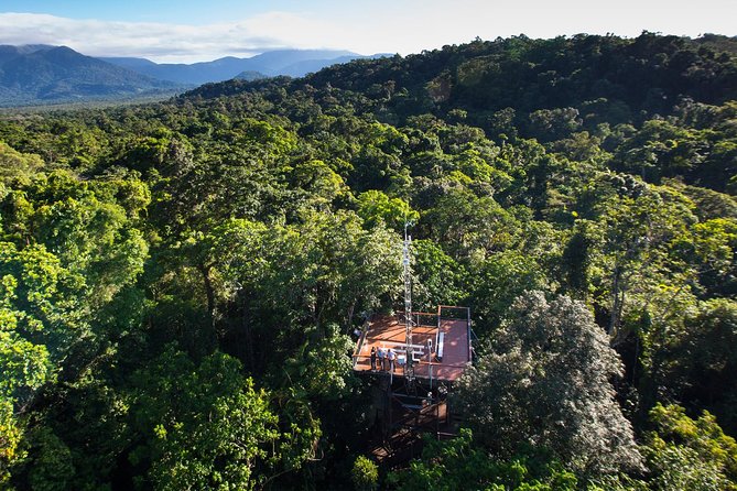 Daintree Discovery Centre Single Pass - Overview and Features
