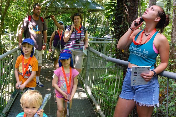 Daintree Discovery Centre Single Pass - Admission Ticket and Prebooking