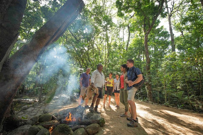 Daintree Dreaming Traditional Aboriginal Fishing From Cairns or Port Douglas - Pickup Details and Convenient Transportation