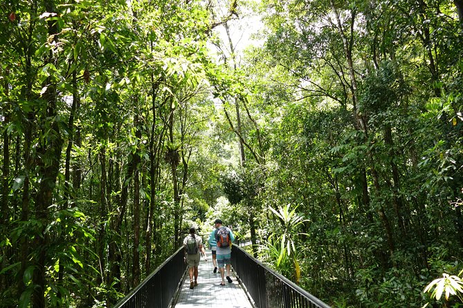 Daintree Dreaming Traditional Aboriginal Fishing From Cairns or Port Douglas - Common Questions