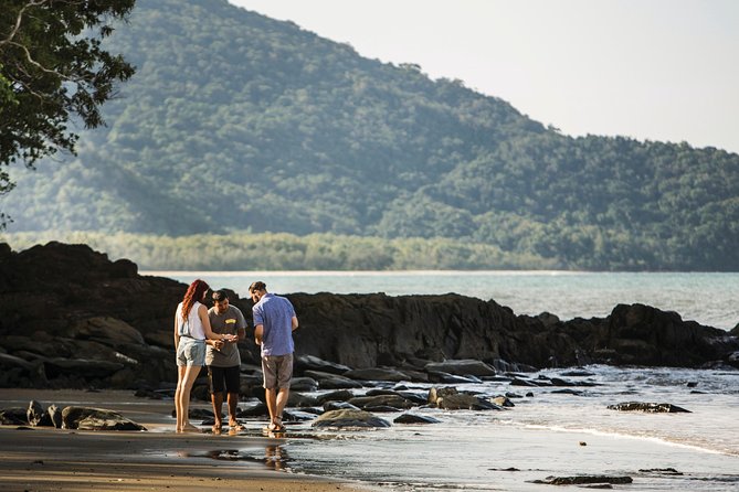 Daintree Park and Cape Tribulation With Aboriginal Guide  - Port Douglas - Meeting and Pickup