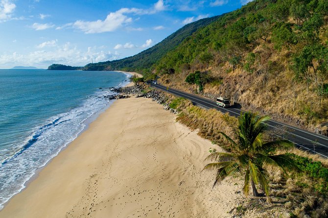 Daintree Rainforest, Cape Tribulation and Bloomfield Track Small Group Tour - Tour Overview and Activities