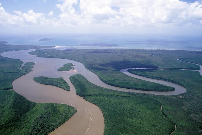 Daintree Rainforest, Cape Tribulation and Bloomfield Track Small Group Tour - Traveler Photos and Reviews