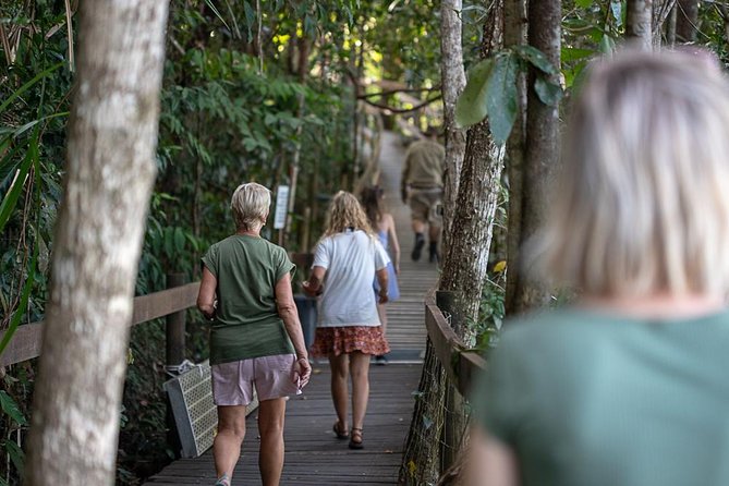 Daintree Rainforest, Cape Tribulation and Bloomfield Track Small Group Tour - The Sum Up