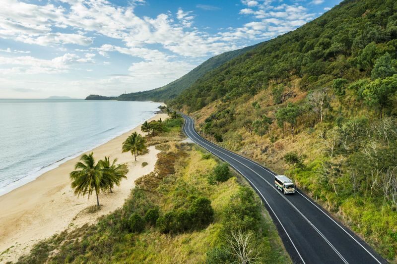 Daintree Rainforest & Cape Tribulation Full Day Tour - Crocodiles on the Daintree River