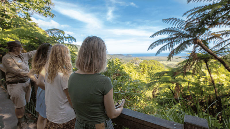 Daintree Rainforest & Cape Tribulation Full Day Tour - Lunch and a freshwater swim