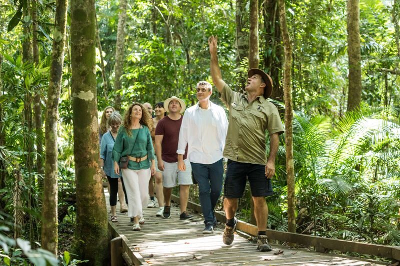 Daintree Rainforest & Cape Tribulation Full Day Tour - Cape Tribulation, where rainforest meets reef
