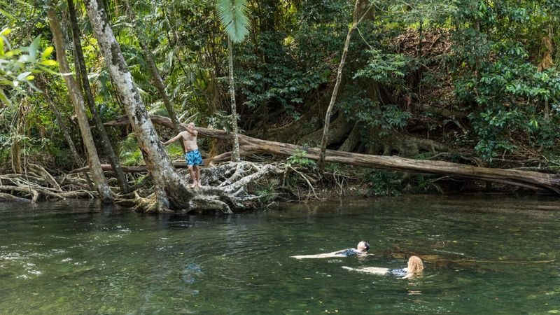 Daintree Rainforest & Cape Tribulation Full Day Tour - The ferry crossing and a sweet finish