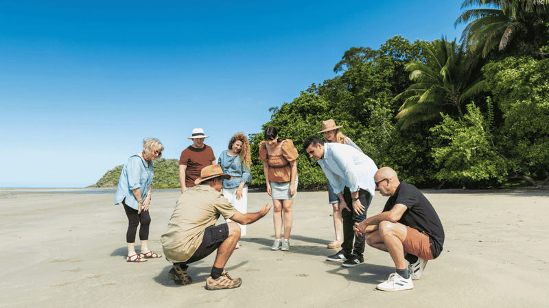 Daintree Rainforest & Cape Tribulation Full Day Tour - Who should book this day trip?
