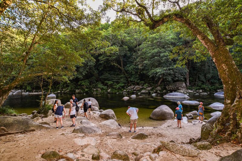 Daintree Rainforest Day Tour From Port Douglas - Key points before you book