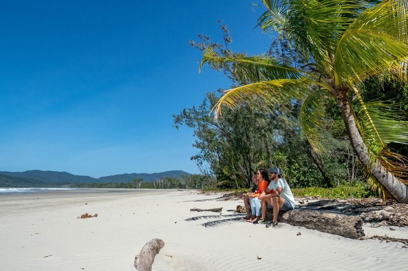 Daintree Rainforest Day Tour From Port Douglas - Cape Tribulation and the rainforest walks