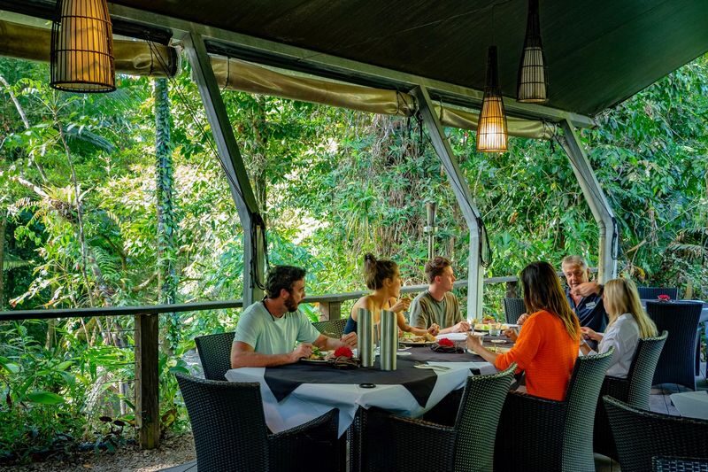 Daintree Rainforest Day Tour From Port Douglas - Lunch, morning tea, and the optional ice cream stop