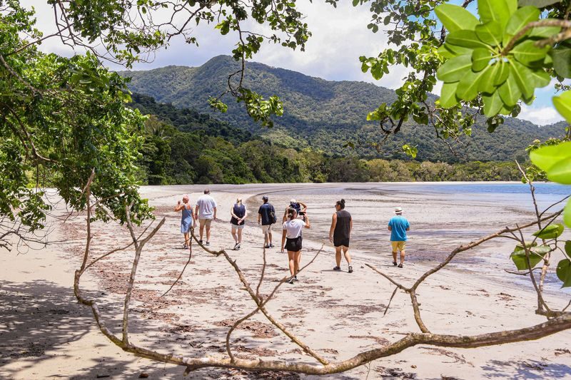 Daintree Rainforest Day Tour From Port Douglas - Timing, pickup, and practical details