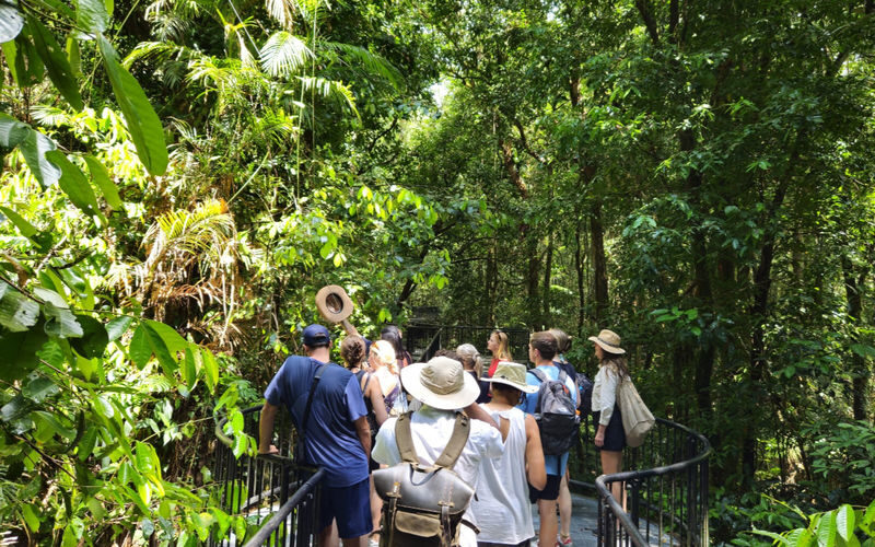 Daintree Rainforest Full-Day Nature Tour with River Cruise - A full day in the Daintree, with one important caveat