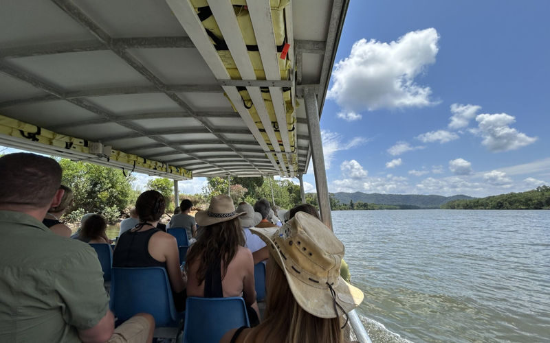 Daintree Rainforest Full-Day Nature Tour with River Cruise - The river cruise: a wildlife chance, not a promise