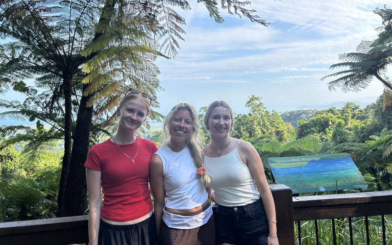 Daintree Rainforest Full-Day Nature Tour with River Cruise - Stop time, traffic and the rhythm of the day