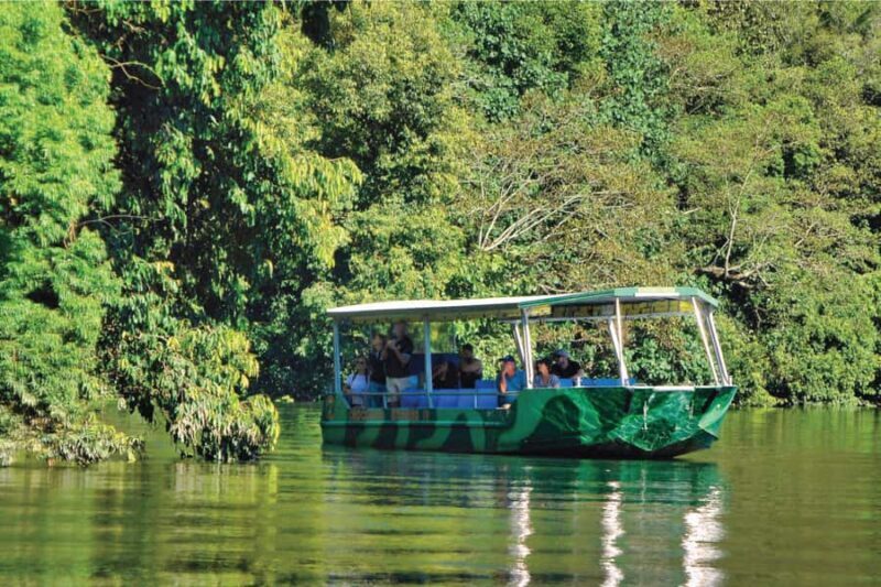 Daintree River Rainforest: Crocodile & Wildlife Cruises (DG) - Exploring the Daintree River: A detailed look at the Crocodile & Wildlife Cruises (DG)