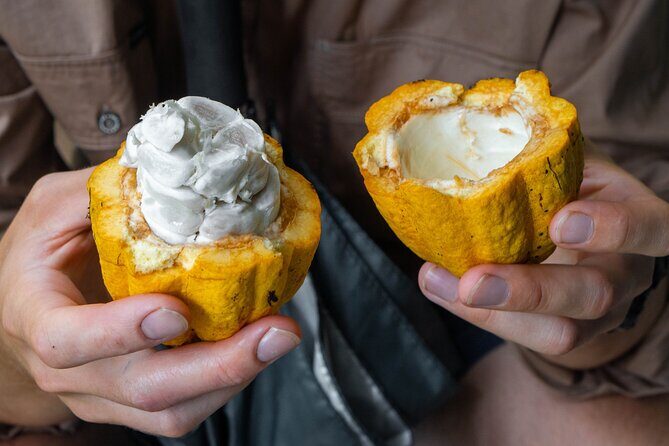 Daintree Sensations - An In-Depth Look at Daintree Sensations