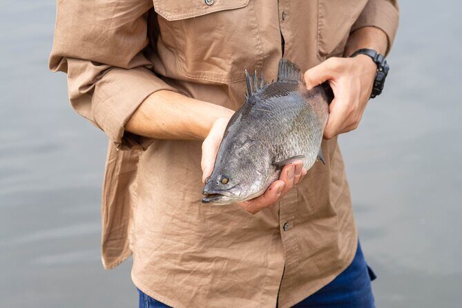 Daintree Sensations - FAQs