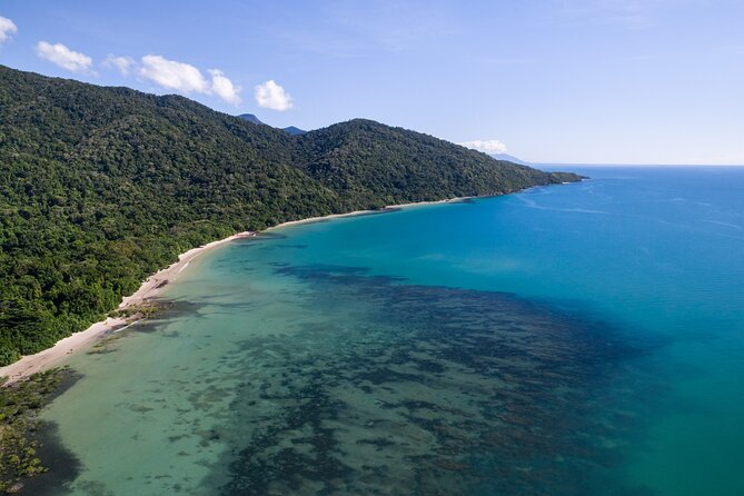 Daintree Valley of the Giants Afternoon Hike and Swim - Recommended Nearby Attractions and Activities