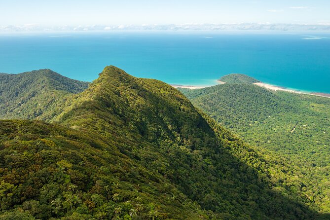 Daintree Valley of the Giants Afternoon Hike and Swim - Common Questions