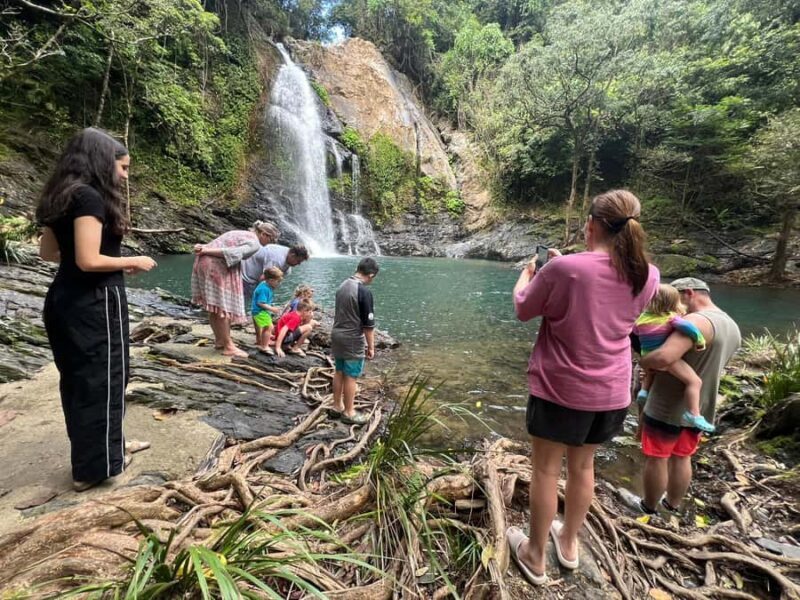 Daintree waters tour, all terrain vehicles and light lunch. - Introduction