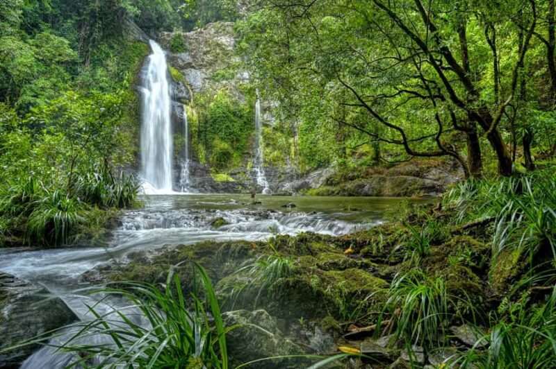 Daintree waters tour, all terrain vehicles and light lunch. - Good To Know