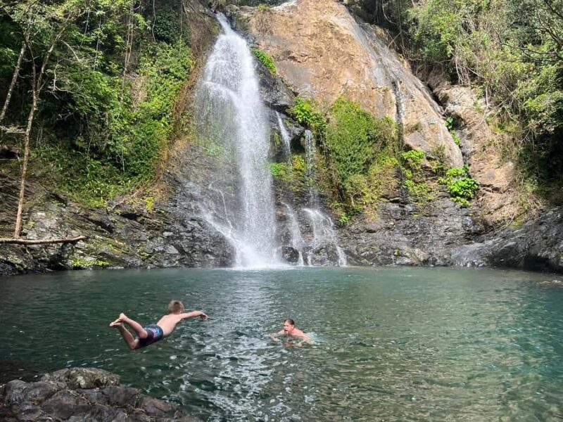 Daintree waters tour, all terrain vehicles and light lunch. - The Practicalities