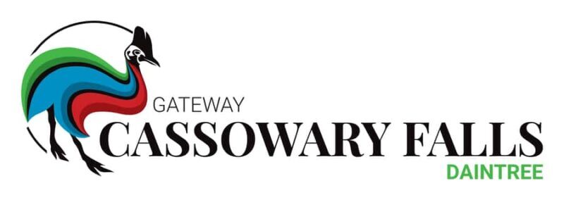 Daintree waters tour, all terrain vehicles and light lunch. - The Sum Up