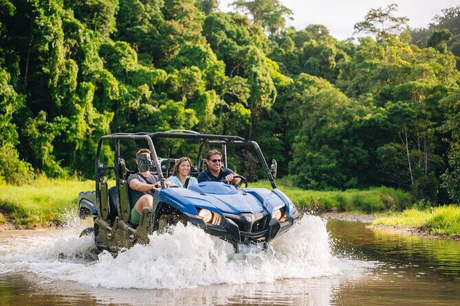 Daintree Waters Tour - Exploring the Daintree Waters Tour: An In-Depth Review