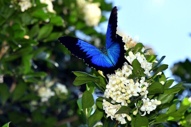 Daintree Waters Tour - FAQ