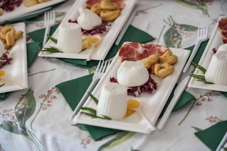 Dairy Farm Tour in the Apulian Countryside! - Explore the Dairy Production Process