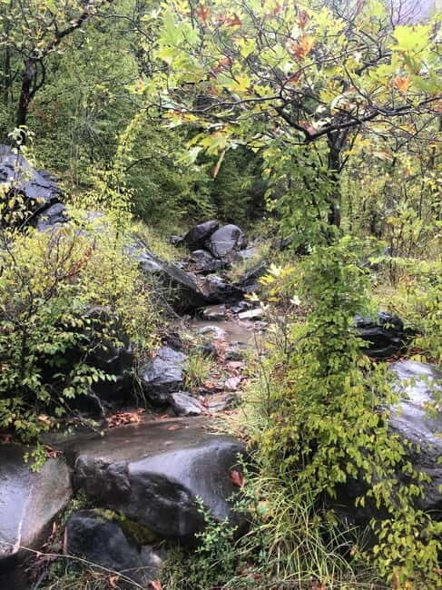 Dajti Cable Car and Shengjergj Waterfall Tour with Lunch - What Really Sets This Tour Apart