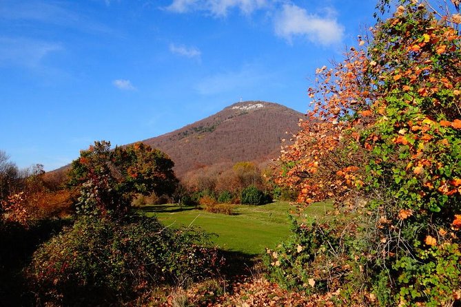 Dajti National Park by Cable Car - Good To Know