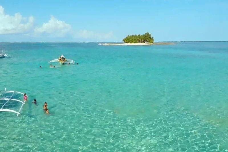 Daku & Naked Island Private Full-Day Marine Life Tour - Food and service: useful clues, not guarantees