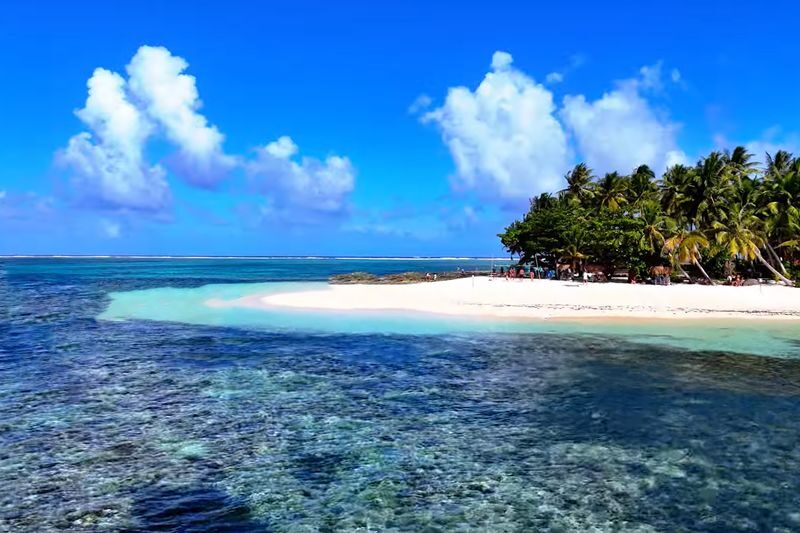 Daku & Naked Island Private Full-Day Marine Life Tour - Is the starting price good value?