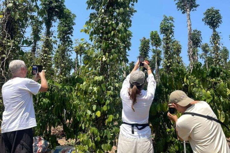 Dalat: 3 Waterfalls Day Tour — Datanla, Pongour & Elephant - Traveler Reviews