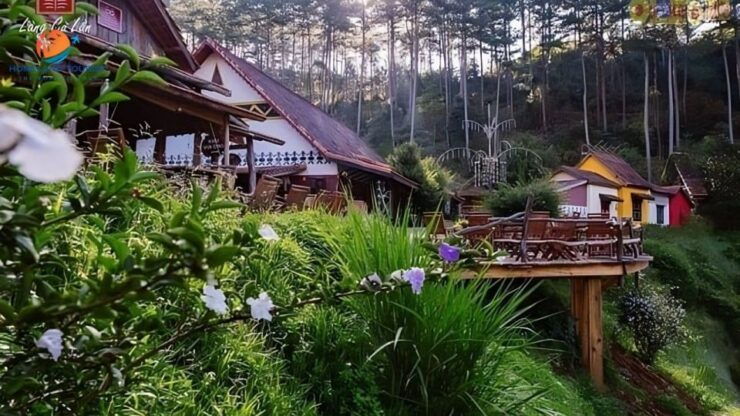 Dalat Amazing Tour - Tour Experience