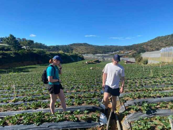 Dalat ATV Discovery: Highland Adventure on Scenic Trails - Restrictions and Considerations