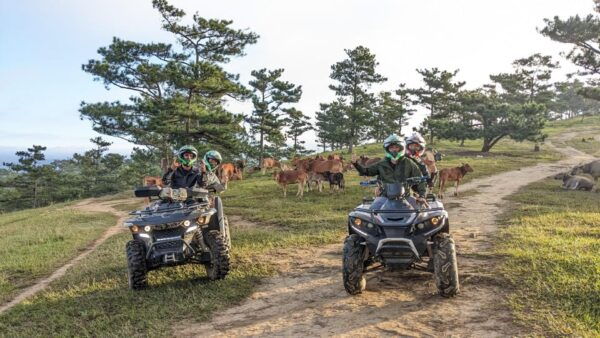 Dalat ATV Discovery: Highland Adventure on Scenic Trails - Frequently Asked Questions
